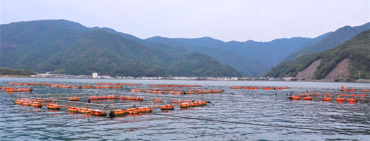 産地_大
